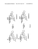 STEROID COMPOUND diagram and image