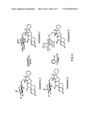 STEROID COMPOUND diagram and image