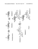 STEROID COMPOUND diagram and image