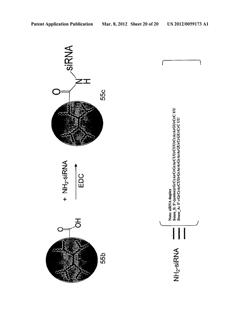 DENDRITIC MOLECULES - diagram, schematic, and image 21