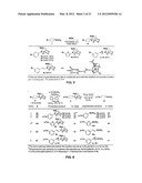 System for Controlling the Reactivity of Boronic Acids diagram and image