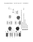 DIGITAL DOMAIN CONTENT PROCESSING AND DISTRIBUTION APPARATUS AND METHODS diagram and image