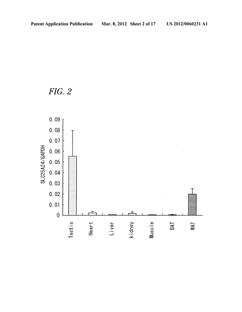 METHOD AND KIT FOR EVALUATION OF PREDISPOSITION TO DEVELOPMENT OF OBESITY,     ANTI-OBESITY AGENT AND METHOD FOR SCREENING THEREOF, NON-HUMAN ANIMAL,     ADIPOSE TISSUE, ADIPOCYTE, METHOD FOR PRODUCTION OF TRANSGENIC MOUSE,     ANTIGEN, AND ANTIBODY - diagram, schematic, and image 03