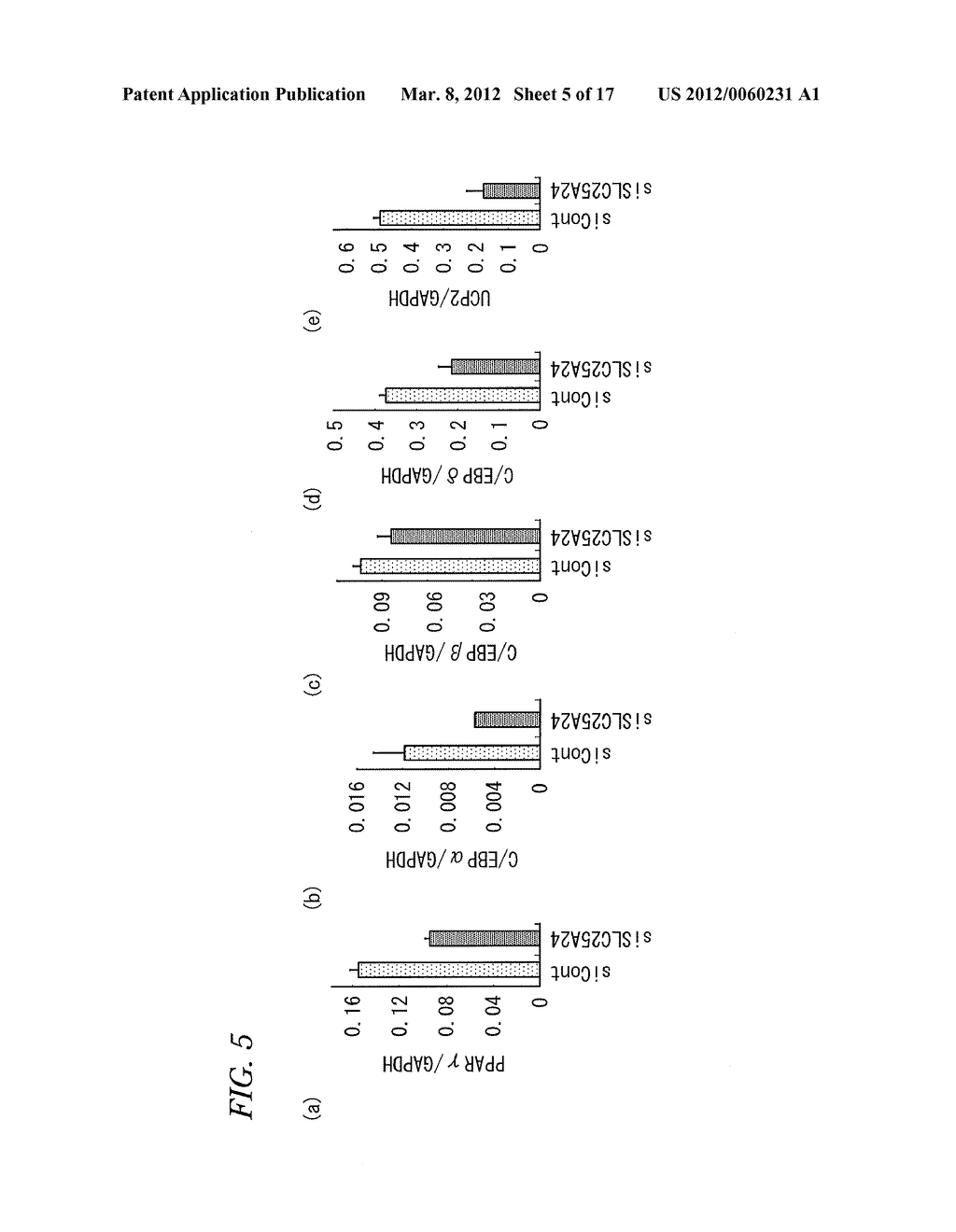 METHOD AND KIT FOR EVALUATION OF PREDISPOSITION TO DEVELOPMENT OF OBESITY,     ANTI-OBESITY AGENT AND METHOD FOR SCREENING THEREOF, NON-HUMAN ANIMAL,     ADIPOSE TISSUE, ADIPOCYTE, METHOD FOR PRODUCTION OF TRANSGENIC MOUSE,     ANTIGEN, AND ANTIBODY - diagram, schematic, and image 06