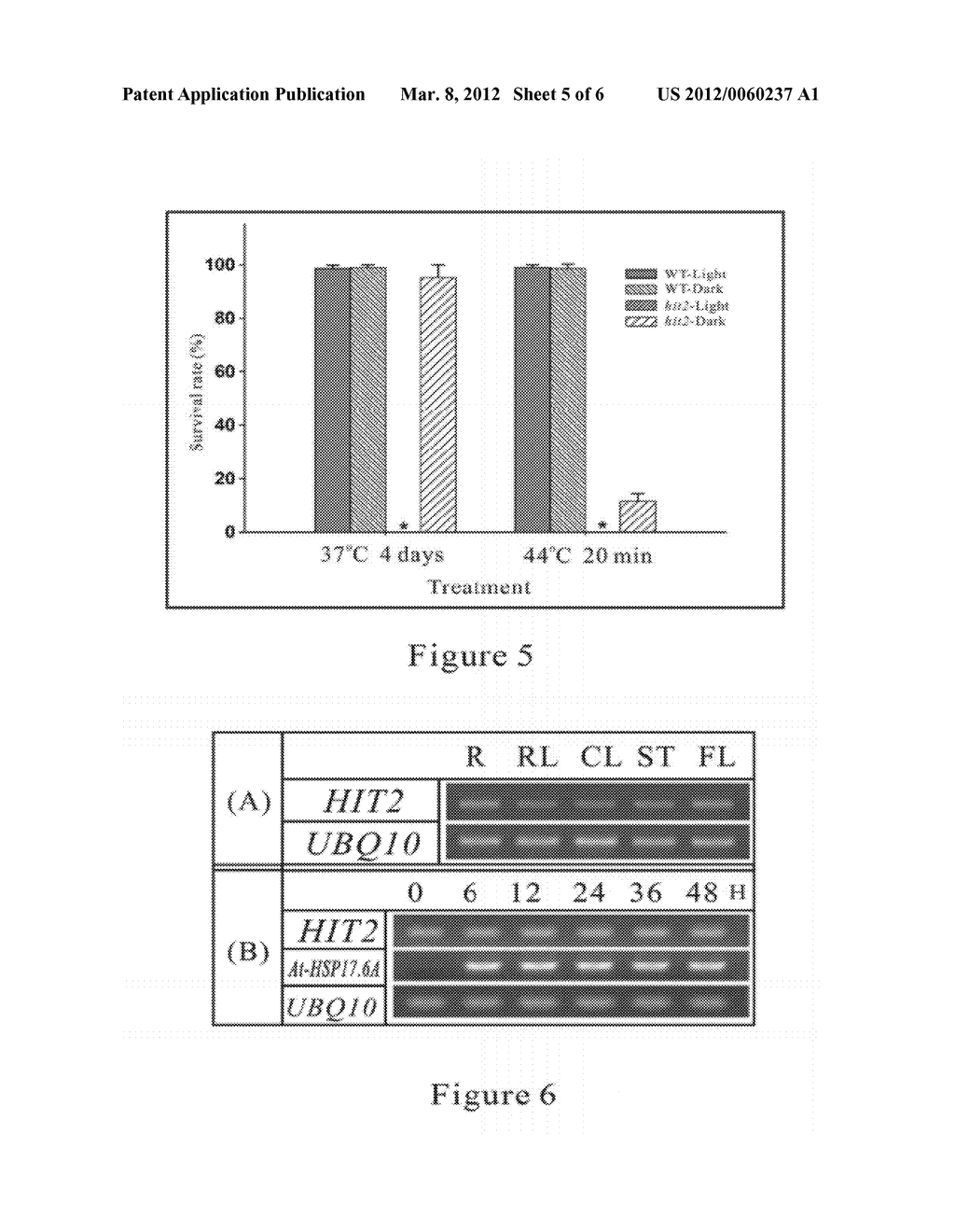 METHOD FOR ENHANCING THERMOTOLERANCE OF PLANT AND GENETIC ENGINEERING     APPLICATIONS THEREOF - diagram, schematic, and image 06