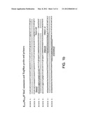 ISOLATED POLYNUCLEOTIDES AND POLYPEPTIDES RELATING TO LOCI UNDERLYING     RESISTANCE TO SOYBEAN CYST NEMATODE AND SOYBEAN SUDDEN DEATH SYNDROME AND     METHODS EMPLOYING SAME diagram and image