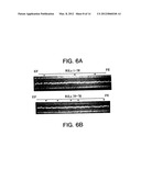 ISOLATED POLYNUCLEOTIDES AND POLYPEPTIDES RELATING TO LOCI UNDERLYING     RESISTANCE TO SOYBEAN CYST NEMATODE AND SOYBEAN SUDDEN DEATH SYNDROME AND     METHODS EMPLOYING SAME diagram and image