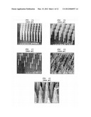 METHOD AND APPARATUS FOR CONTROLLING THE FLOW RESISTANCE OF A FLUID ON     NANOSTRUCTURED OR MICROSTRUCTURED SURFACES diagram and image