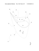 SLATS WITH A FLEXIBLE TRAILING EDGE diagram and image