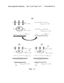 QUANTITATIVE DIFFERENTIAL INTERFERENCE CONTRAST (DIC) MICROSCOPY AND     PHOTOGRAPHY BASED ON WAVEFRONT SENSORS diagram and image