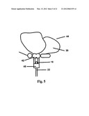 Light emitting diode ornamental display illumination system with remote     solar cell diagram and image