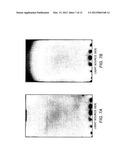 SURFACE LIGHT SOURCE DEVICE AND FRAME USED THEREIN diagram and image