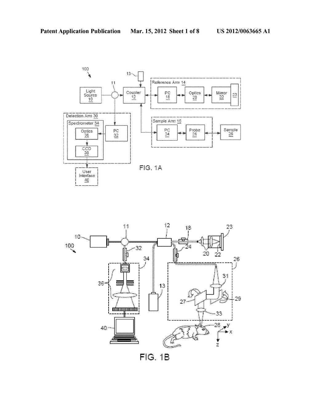 METHOD AND APPARATUS FOR QUANTITATIVE IMAGING OF BLOOD PERFUSION IN LIVING     TISSUE - diagram, schematic, and image 02