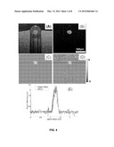 METHOD AND APPARATUS FOR QUANTITATIVE IMAGING OF BLOOD PERFUSION IN LIVING     TISSUE diagram and image