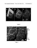 METHOD AND APPARATUS FOR QUANTITATIVE IMAGING OF BLOOD PERFUSION IN LIVING     TISSUE diagram and image