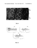 METHOD AND APPARATUS FOR QUANTITATIVE IMAGING OF BLOOD PERFUSION IN LIVING     TISSUE diagram and image