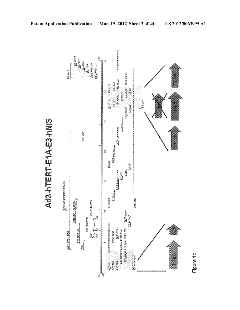 NON-AD5 ADENOVIRAL VECTORS AND METHODS AND USES RELATED THERETO - diagram, schematic, and image 04