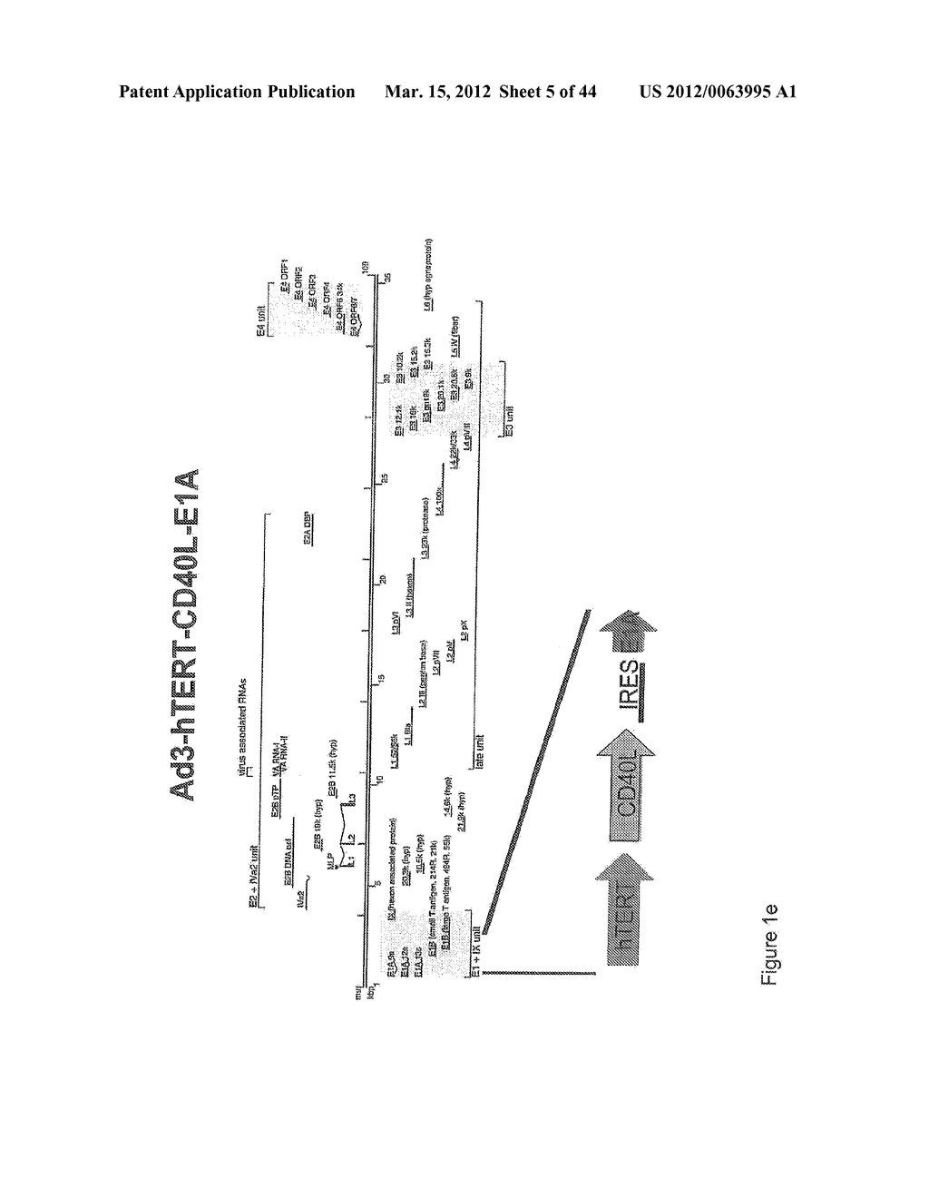 NON-AD5 ADENOVIRAL VECTORS AND METHODS AND USES RELATED THERETO - diagram, schematic, and image 06