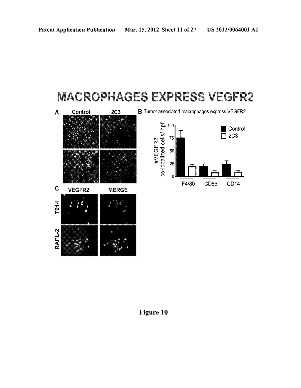 Anti-VEGF Antibody Compositions and Methods - diagram, schematic, and image 12