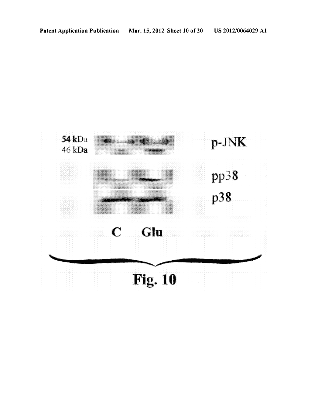 COMPOSITIONS FOR TREATING NERVOUS SYSTEM CONDITIONS - diagram, schematic, and image 11