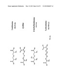 Methods For Treating Diseases and HCV Using Antibodies To     Aminophospholipids diagram and image