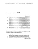 Methods For Treating Diseases and HCV Using Antibodies To     Aminophospholipids diagram and image