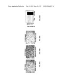 Methods For Treating Diseases and HCV Using Antibodies To     Aminophospholipids diagram and image