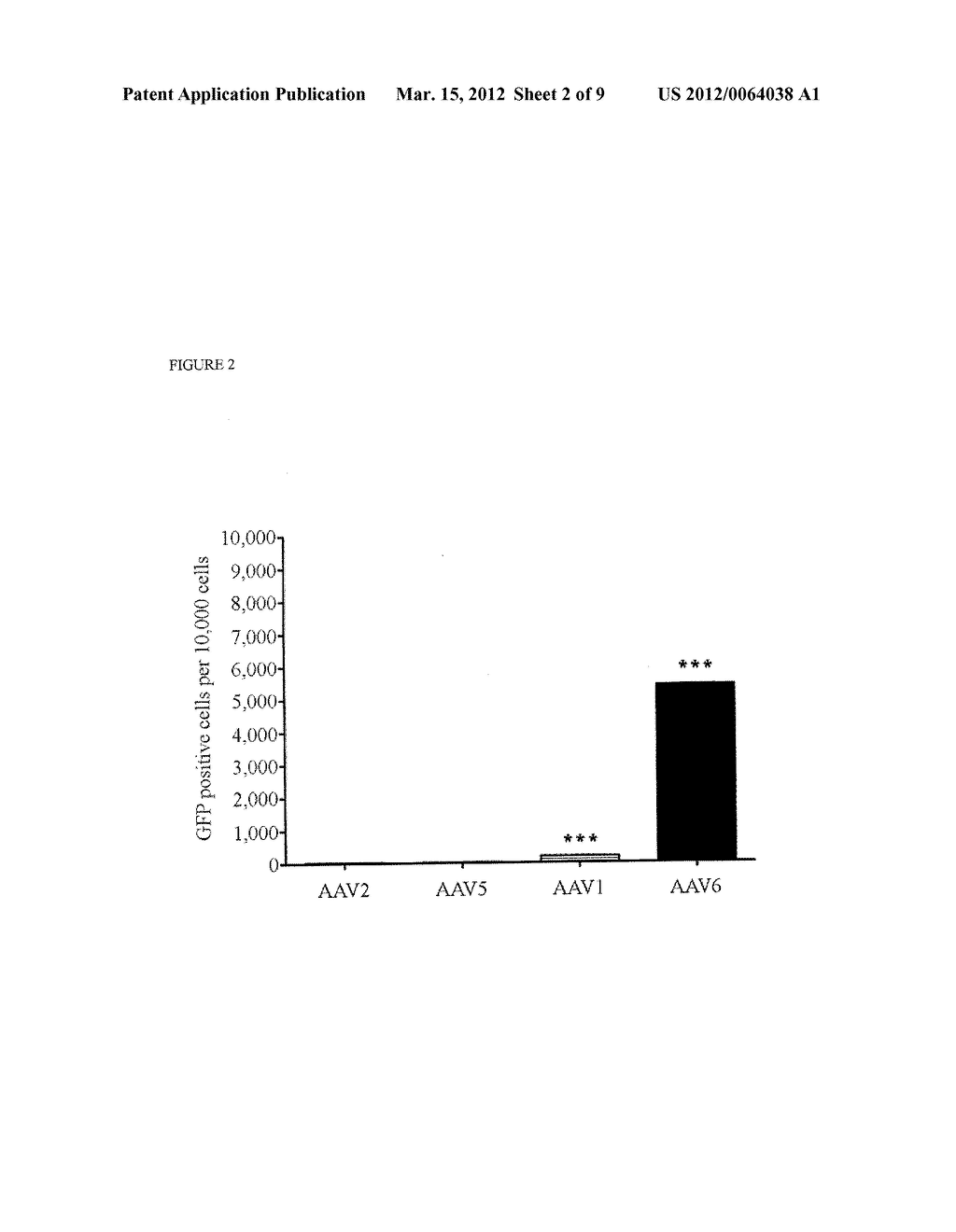 EPIDERMAL GROWTH FACTOR RECEPTOR (EGFR) AND METHODS OF USE IN     ADENOVIRAL-ASSOCIATED VIRUS TYPE 6 (AAV6) TRANSDUCTION - diagram, schematic, and image 03