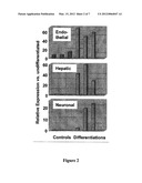 Use of Multipotent Adult Stem Cells in Treatment of Myocardial Infarction     and Congestive Heart Failure diagram and image