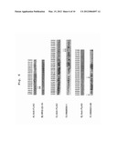 NOVEL ADAMTS-13 MUTANT diagram and image