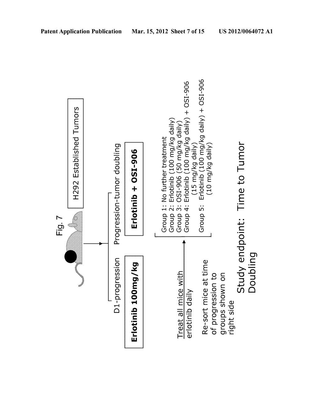 Combination Cancer Therapy Comprising Administration of an EGFR Inhibitor     and an IGF-1R Inhibitor - diagram, schematic, and image 08