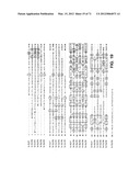 IL-17 HOMOLOGOUS POLYPEPTIDES AND THERAPEUTIC USES THEREOF diagram and image