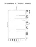 IL-17 HOMOLOGOUS POLYPEPTIDES AND THERAPEUTIC USES THEREOF diagram and image