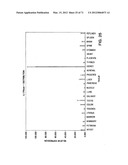 IL-17 HOMOLOGOUS POLYPEPTIDES AND THERAPEUTIC USES THEREOF diagram and image