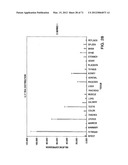 IL-17 HOMOLOGOUS POLYPEPTIDES AND THERAPEUTIC USES THEREOF diagram and image