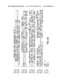 IL-17 HOMOLOGOUS POLYPEPTIDES AND THERAPEUTIC USES THEREOF diagram and image