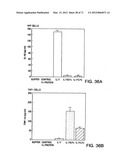 IL-17 HOMOLOGOUS POLYPEPTIDES AND THERAPEUTIC USES THEREOF diagram and image