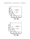 IL-17 HOMOLOGOUS POLYPEPTIDES AND THERAPEUTIC USES THEREOF diagram and image