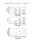 IL-17 HOMOLOGOUS POLYPEPTIDES AND THERAPEUTIC USES THEREOF diagram and image