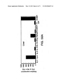 IL-17 HOMOLOGOUS POLYPEPTIDES AND THERAPEUTIC USES THEREOF diagram and image