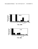 IL-17 HOMOLOGOUS POLYPEPTIDES AND THERAPEUTIC USES THEREOF diagram and image