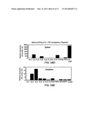 IL-17 HOMOLOGOUS POLYPEPTIDES AND THERAPEUTIC USES THEREOF diagram and image