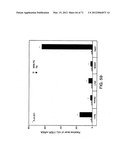 IL-17 HOMOLOGOUS POLYPEPTIDES AND THERAPEUTIC USES THEREOF diagram and image