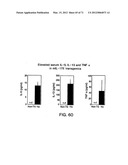 IL-17 HOMOLOGOUS POLYPEPTIDES AND THERAPEUTIC USES THEREOF diagram and image