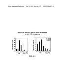 IL-17 HOMOLOGOUS POLYPEPTIDES AND THERAPEUTIC USES THEREOF diagram and image