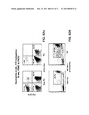 IL-17 HOMOLOGOUS POLYPEPTIDES AND THERAPEUTIC USES THEREOF diagram and image