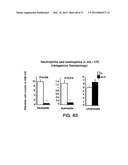 IL-17 HOMOLOGOUS POLYPEPTIDES AND THERAPEUTIC USES THEREOF diagram and image