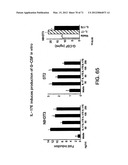IL-17 HOMOLOGOUS POLYPEPTIDES AND THERAPEUTIC USES THEREOF diagram and image