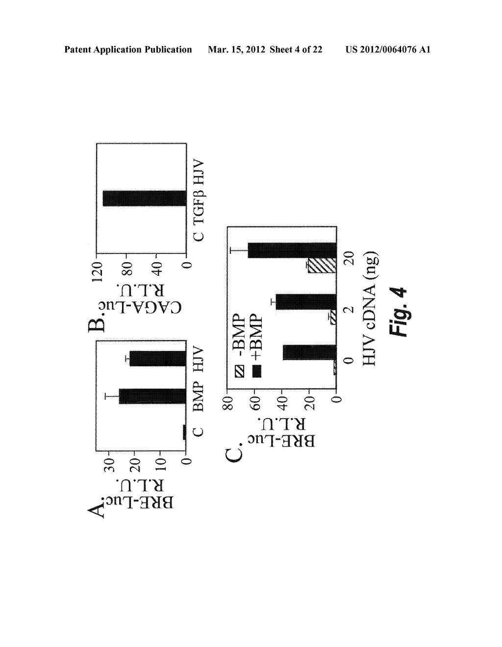 METHODS AND COMPOSITION TO REGULATE IRON METABOLISM - diagram, schematic, and image 05