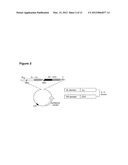 STABLE AND SOLUBLE ANTIBODIES INHIBITING TNF ALPHA diagram and image